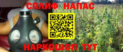 гашик Малоярославец