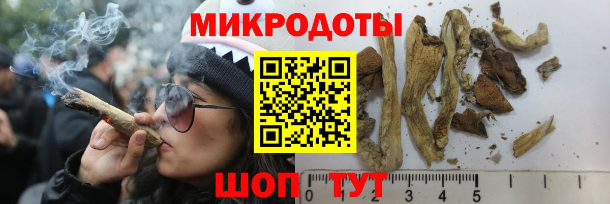 Галлюциногенные грибы мицелий  Вход с VPN  продажа наркотиков  Электрогорск 